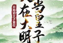 人在大明当皇子，开局劝太子篡位小说的免费阅读版本在哪里可以找到？-瑞奇文学