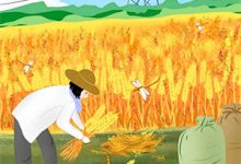 已完结小说《仙途不渡负心人》最新章节-瑞奇文学