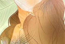 《从此晋尘各悄然》小说戚雪陆培风章节章节免费在线阅读-瑞奇文学