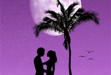 闪婚!大佬你的背景好强大小说有没有完结版在线?-瑞奇文学