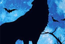 完结版《青灰已橙红》免费阅读-瑞奇文学