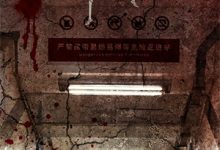 将军夫人不好惹免费阅读，将军夫人不好惹章节在线阅读-瑞奇文学